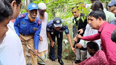 চাঁদপুরে ‘এক শহীদ, এক বৃক্ষ’ কর্মসূচিতে গাছ রোপণ