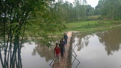 ধাইজান নদীতে সেতু নেই, ৫০ হাজার মানুষের ভরসা বাঁশের সাঁকো