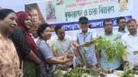 জুলাই অভ্যুত্থানে শহীদদের স্মরণে খাগড়াছড়িতে চারা বিতরণ