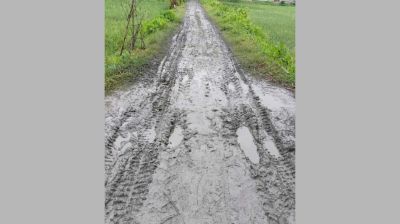 ৫৪ বছরেও পাকা হয়নি সাফুয়া গ্রামের সড়ক. দুর্ভোগে দেড় হাজার মানুষ