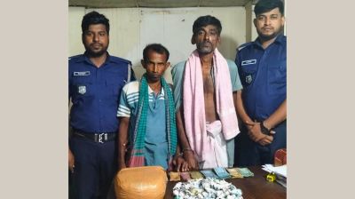 আশুলিয়ায় ২ কেজি গাঁজাসহ দুই মাদক কারবারি গ্রেপ্তার