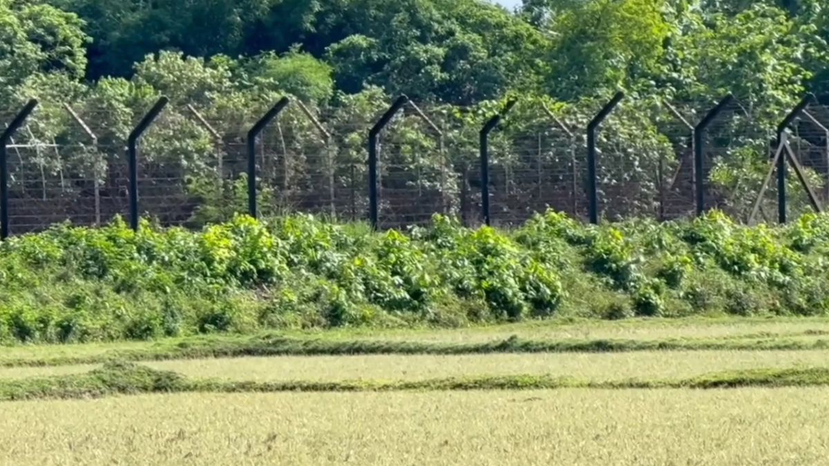 ফেনী সীমান্তে বিএসএফের গুলিতে বাংলাদেশি নিহত