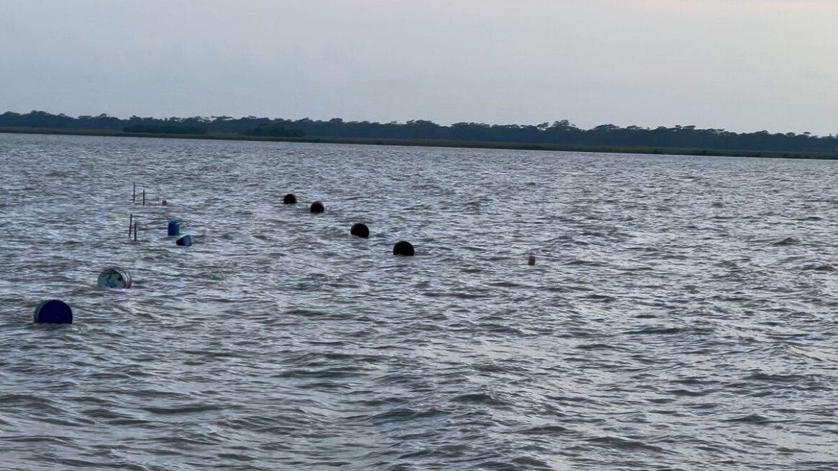 তেঁতুলিয়া নদীতে পড়ে তরুণ মাছ ব্যবসায়ী নিখোঁজ