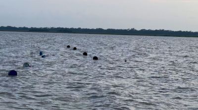 তেঁতুলিয়া নদীতে পড়ে তরুণ মাছ ব্যবসায়ী নিখোঁজ