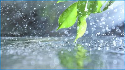 ৪ বিভাগে ভারী বৃষ্টির আভাস