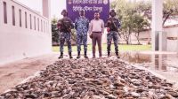 চাঁদপুরে ৩৯০ কেজি জেলিযুক্ত চিংড়ি জব্দ