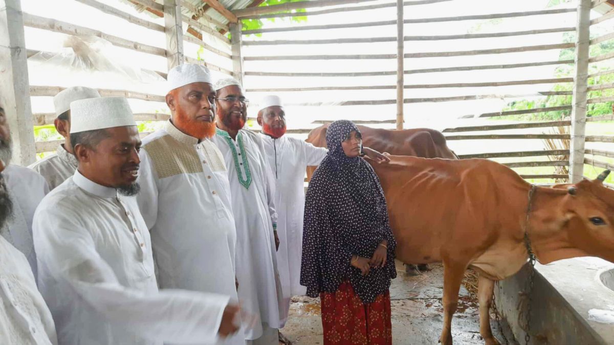 মাগুরায় শিশু আছিয়ার পরিবারকে ঘর-গাভী উপহার দিল জামায়াত
