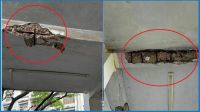 জবির ঝুঁকিপূর্ণ ভবনেই চলছে পাঠদান