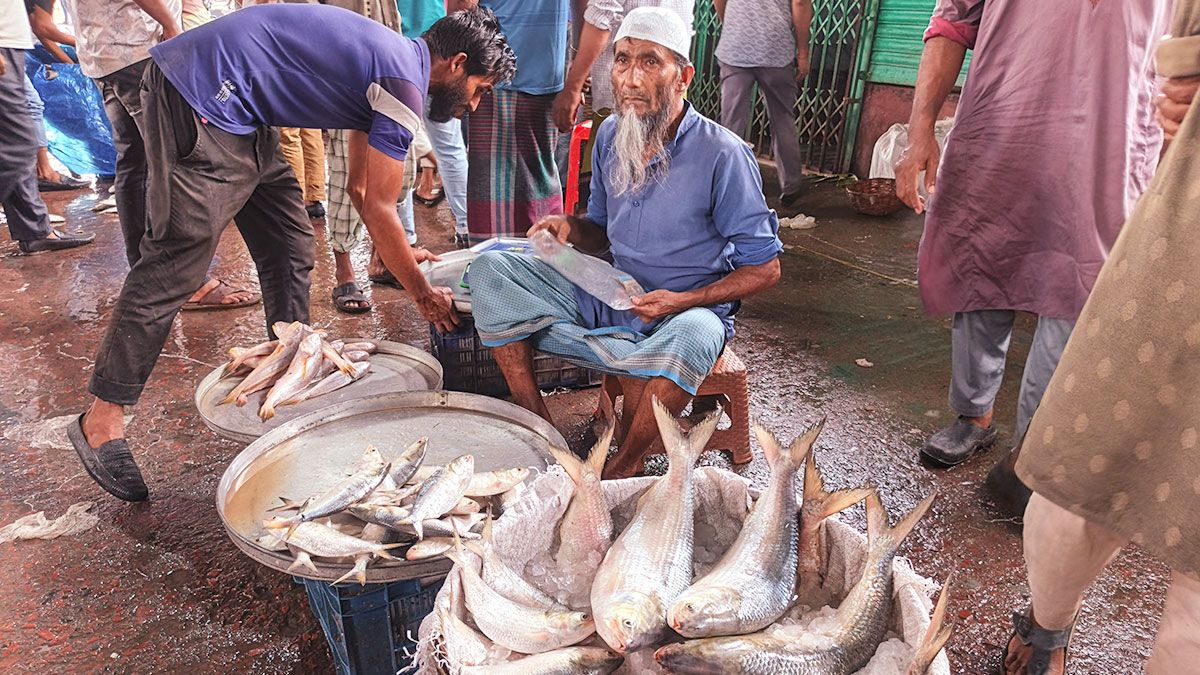 ‎বরিশালে ভরা মৌসুমেও মিলছেনা ইলিশ, বেড়েছে দাম