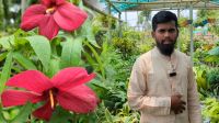 নার্সারির মাটি থেকেই ঘুরল জীবনের মোড়