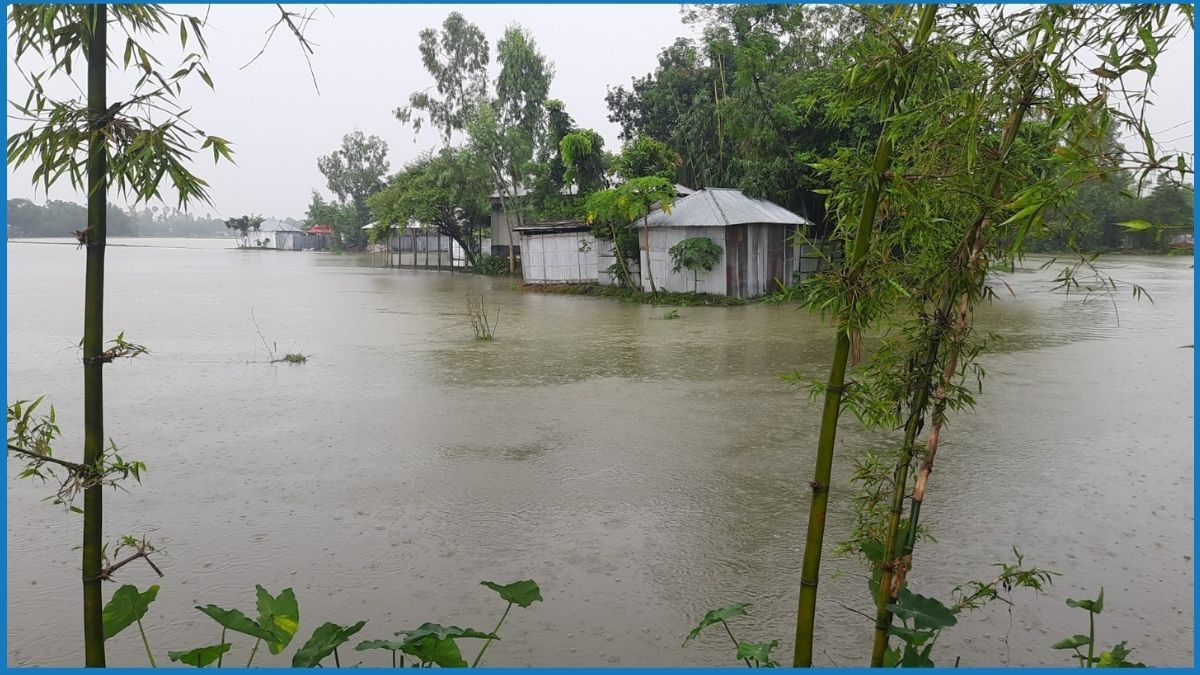 তিস্তার পানি বিপৎসীমার ওপরে, পানিবন্দি ১০ হাজার পরিবার