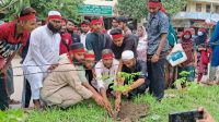 মুন্সীগঞ্জে ‘রক্তাক্ত ৪ আগস্ট’ স্মরণে শোক ও বৃক্ষরোপণ কর্মসূচি