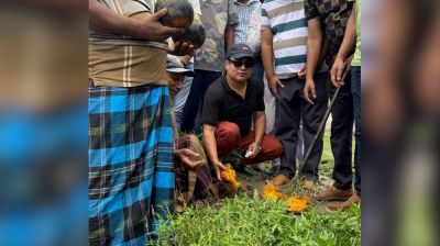 পাইকগাছায় বিএনপির উদ্যোগে ৩ হাজার তালবীজ রোপণ