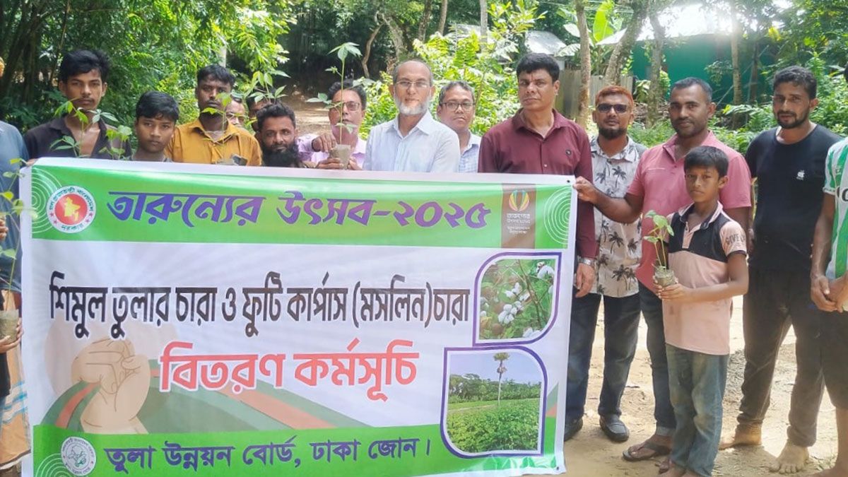 কুমিল্লায় পরীক্ষামূলক তুলা চাষে সাফল্যের সম্ভাবনা