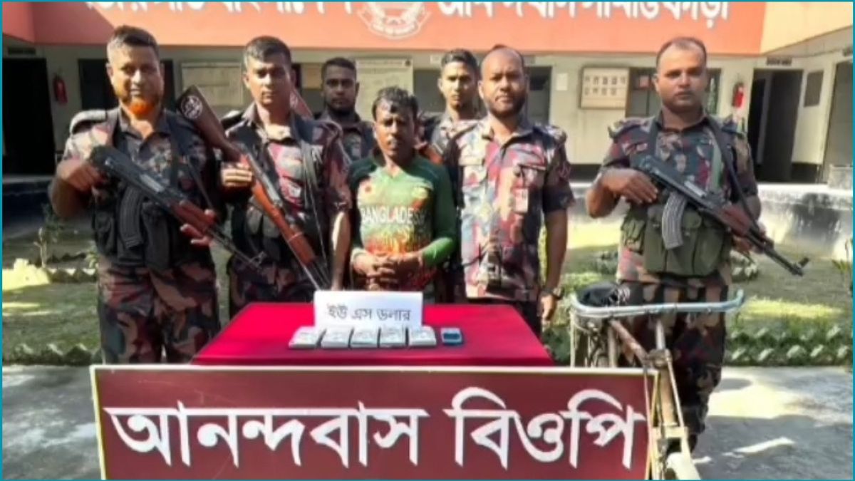 মেহেরপুরে ৫১ হাজার মার্কিন ডলারসহ পাচারকারী আটক