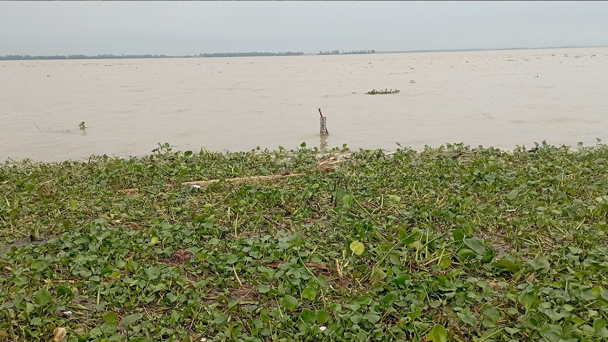 যমুনায় দ্রুত বাড়ছে পানি, প্লাবিত নিম্নভূমি