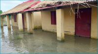 নদীর চরে আশ্রয়ণ প্রকল্প, পানিবন্দি ২৫০ পরিবার