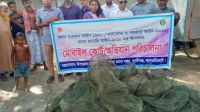 লালমনিরহাটে মাছ ধ্বংসকারী অবৈধ দুয়ারি জাল জব্দ