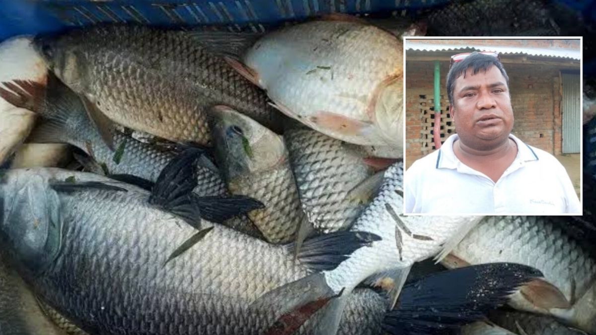 নওগাঁয় বিএনপি নেতার বিরুদ্ধে মাছ লুটের অভিযোগ