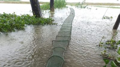 টাঙ্গুয়ার হাওরে বিপন্ন দেশীয় মাছ, ধ্বংস হচ্ছে জীববৈচিত্র্য