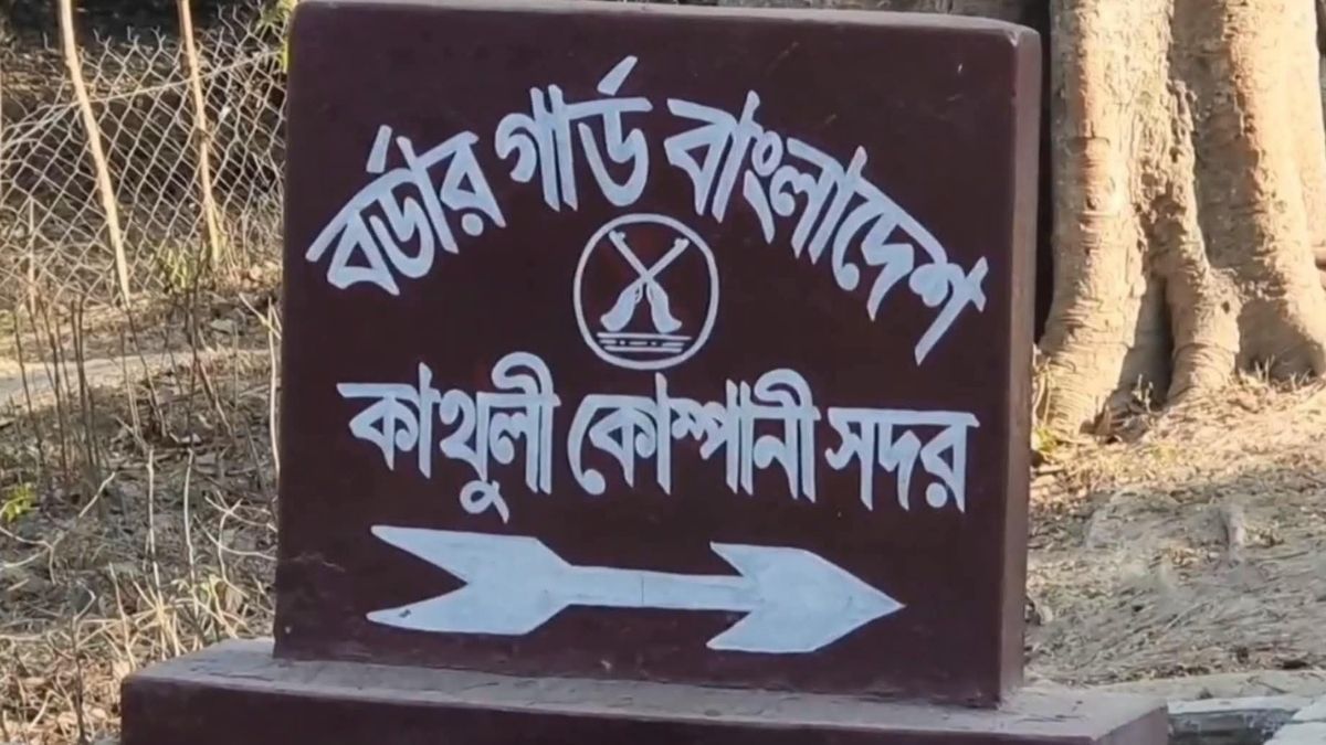 মেহেরপুর সীমান্তে আটক বাংলাদেশিকে ফেরত দিল বিএসএফ