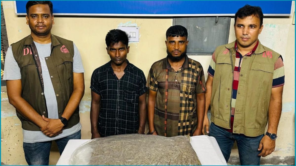 বগুড়ায় ১০ কেজি গাঁজাসহ দুই মাদক কারবারি আটক