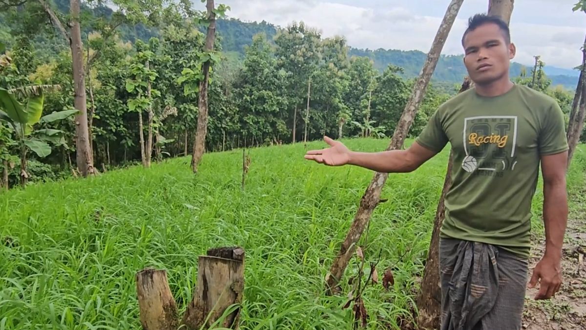 বান্দরবানে মুখ থুবড়ে পড়েছে কফি-কাজু বাদাম প্রকল্প