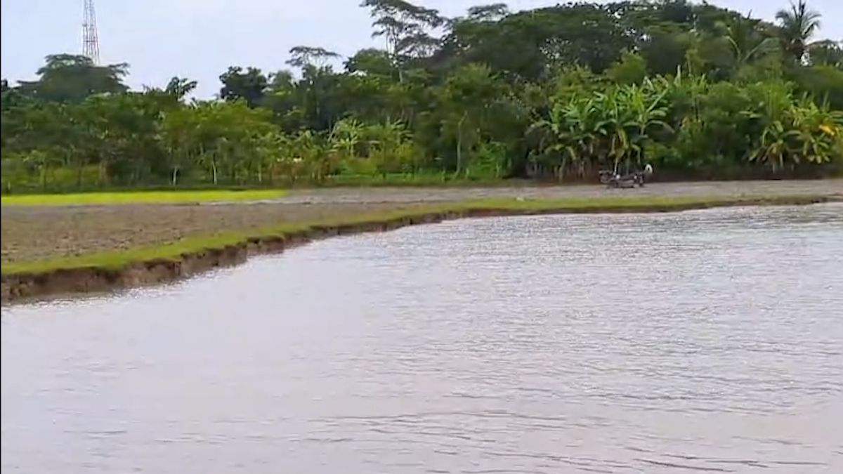 পটুয়াখালীতে অন্ধকারে মাটি খাচ্ছে প্রভাবশালীরা, ঝুঁকিতে শিক্ষাপ্রতিষ্ঠানসহ অসংখ্য পরিবার