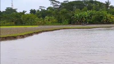 পটুয়াখালীতে অন্ধকারে মাটি খাচ্ছে প্রভাবশালীরা, ঝুঁকিতে শিক্ষাপ্রতিষ্ঠানসহ অসংখ্য পরিবার