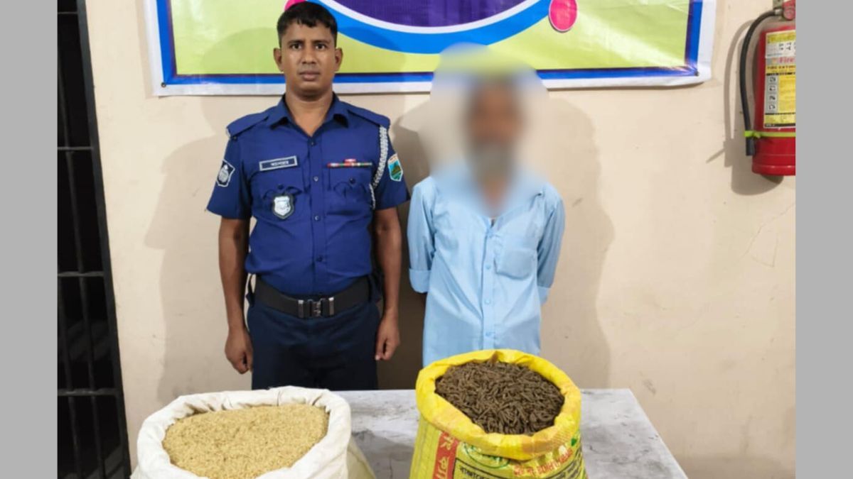 শিবগঞ্জে ৫ কেজি গাঁজাসহ মাদক কারবারি আটক