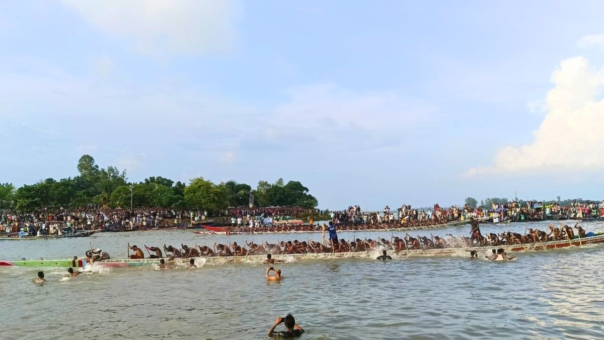 চলনবিলে ঐতিহ্যবাহী নৌকা বাইচ দেখতে দর্শনার্থীদের ঢল