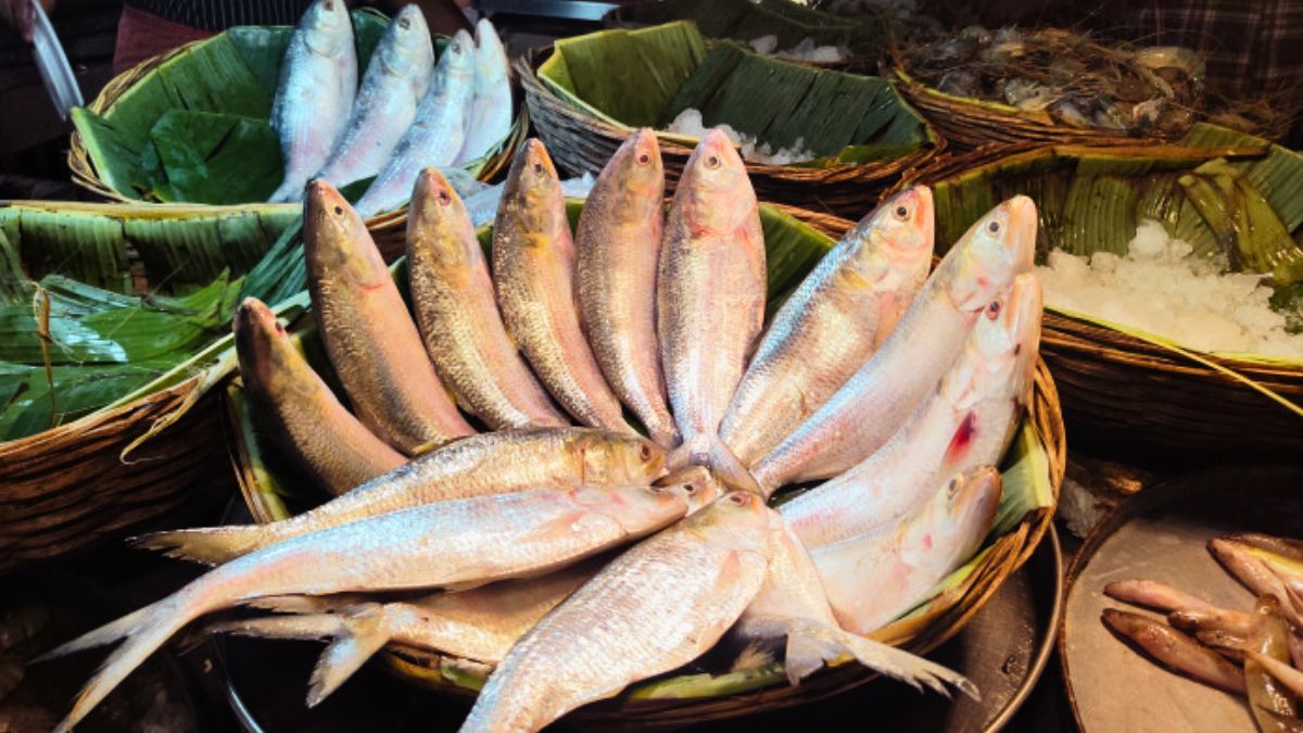 দুর্গাপূজায় ভারতে ১২শ’ মেট্রিকটন ইলিশ পাঠাবে বাংলাদেশ