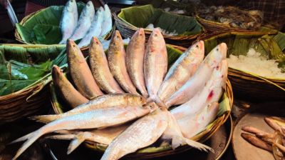 দুর্গাপূজায় ভারতে ১২শ’ মেট্রিকটন ইলিশ পাঠাবে বাংলাদেশ