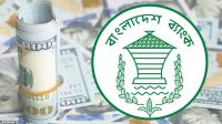 দেশের বৈদেশিক মুদ্রার রিজার্ভ বাড়ল
