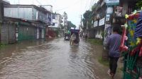 গাইবান্ধা শহরের প্রধান সড়কে হাঁটুপানিতে ভোগান্তি