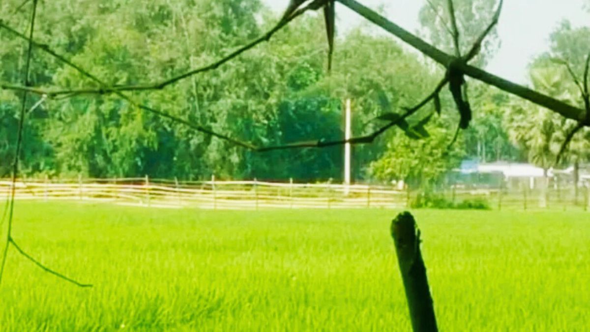 বিরামপুর সীমান্তে রাতের আঁধারে বেড়া, আতঙ্কে স্থানীয়রা