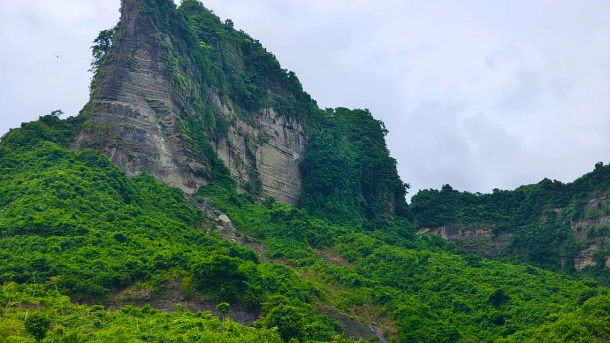 টেকনাফ পাহাড় থেকে ৫ ভিকটিম উদ্ধার, ২ অপহরণকারী আটক