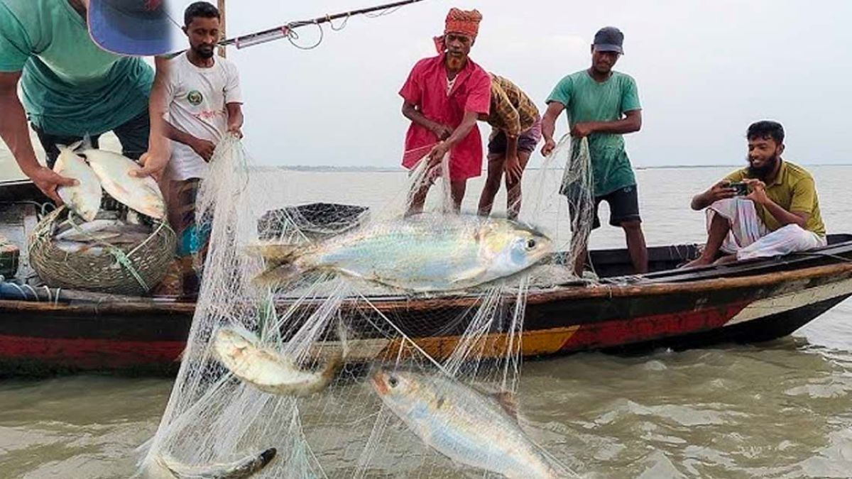 ইলিশ আহরণে আসছে ২২ দিনের সরকারি নিষেধাজ্ঞা