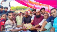 ঐতিহ্য ধরে রাখতে আলফাডাঙ্গায় ‘নৌকা বাইচ’