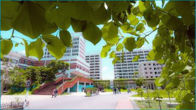 পাবিপ্রবিতে গবেষণায় যুক্ত শিক্ষার্থীদের বেতন দিবে প্রশাসন