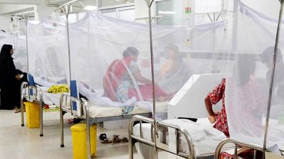 ২৪ ঘণ্টায় ডেঙ্গুতে মৃত্যু ৩, আক্রান্ত ৭৩৫