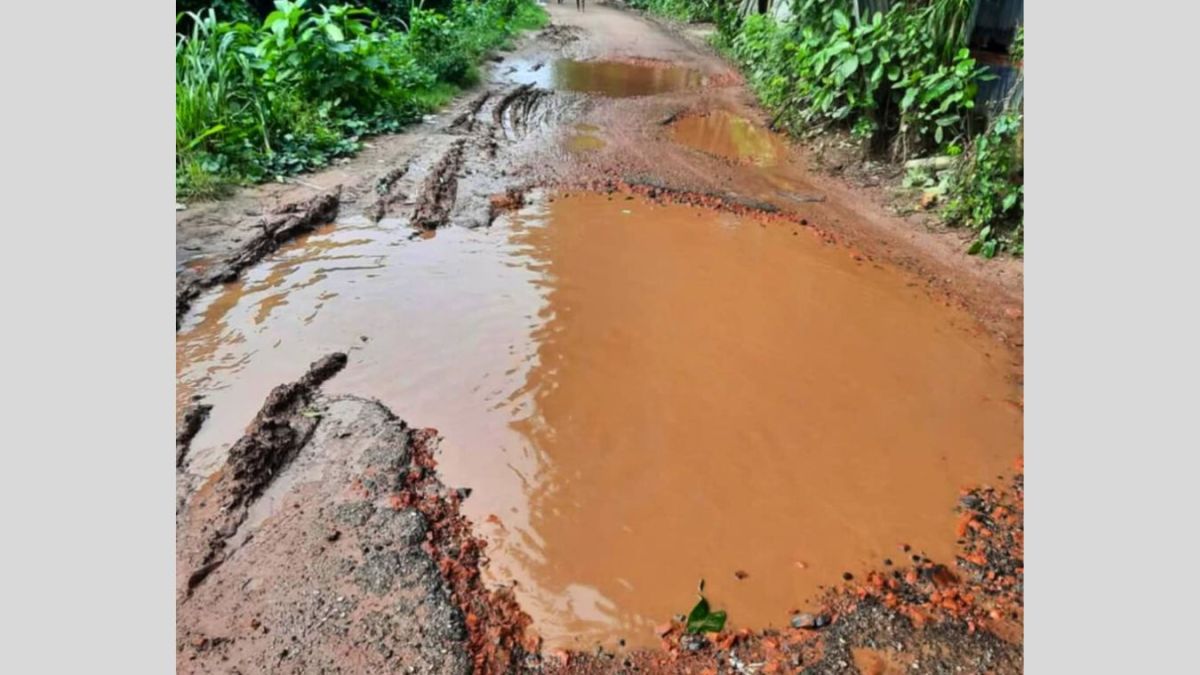 খানা-খন্দে অচল সিংগাইরের প্রধান সড়ক সংস্কার জরুরি