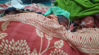 নাটোরে একসঙ্গে ৫ সন্তানের জন্ম, বেঁচে আছে ৩ জন