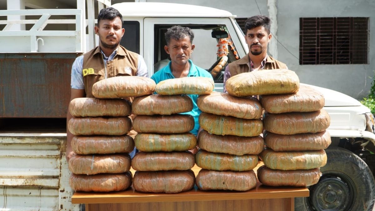 নরসিংদীতে ৪৫ কেজি গাঁজাসহ মাদক কারবারি গ্রেপ্তার