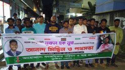 চিকিৎসা শেষে দেশে ফিরলেন ভিপি নুর, কুষ্টিয়ায় আনন্দ মিছিল