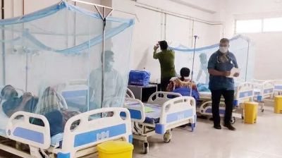 ২৪ ঘণ্টায় ডেঙ্গুতে মৃত্যু ৩, আক্রান্ত ৭৮২