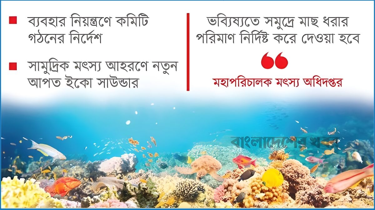 কমছে সামুদ্রিক মাছের মজুত