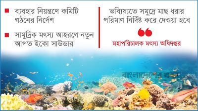 কমছে সামুদ্রিক মাছের মজুত