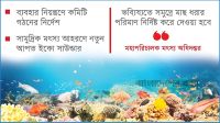 কমছে সামুদ্রিক মাছের মজুত