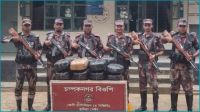 ফেনী ছাগলনাইয়ায় ৪০ কেজি গাঁজা জব্দ